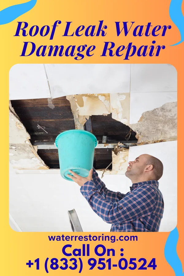 Roof Leak Water Damage Repair in La Cueva, NM